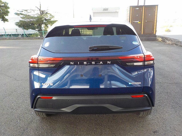2021 Blue EPower Note(Reserved)