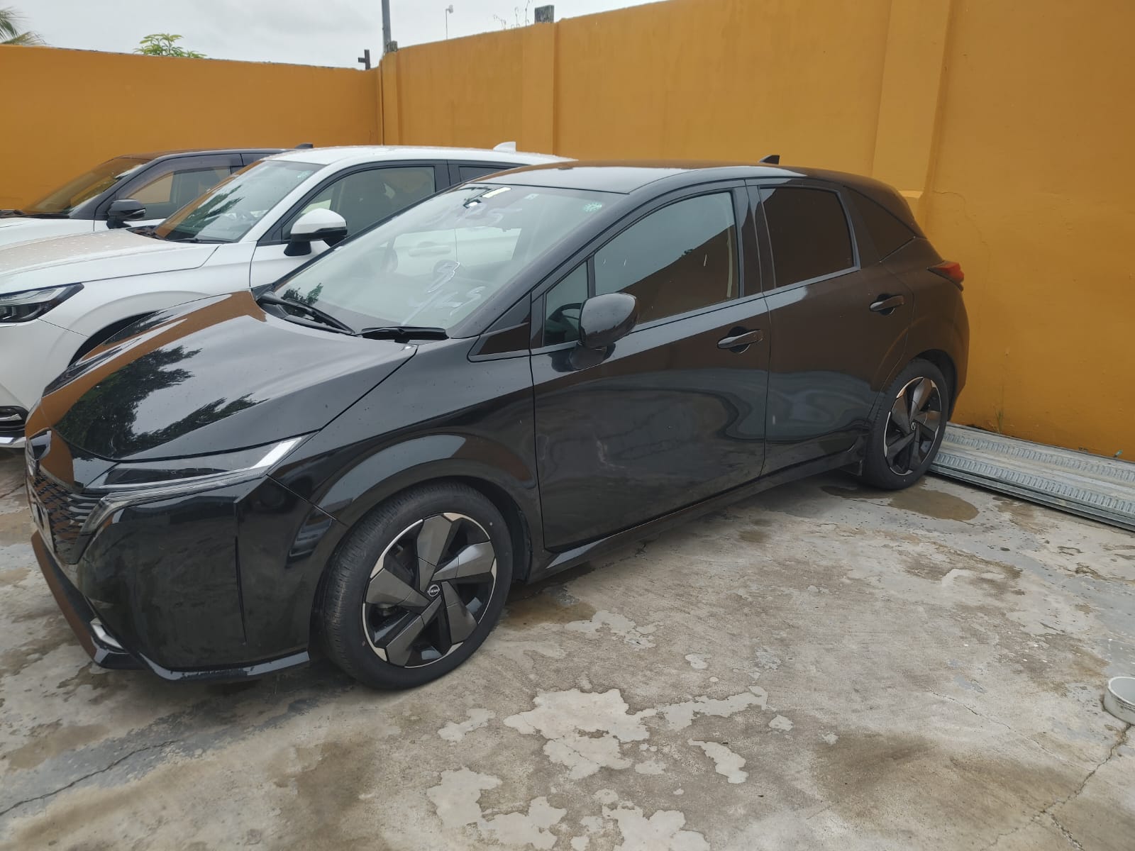 2022 Black Note Aura