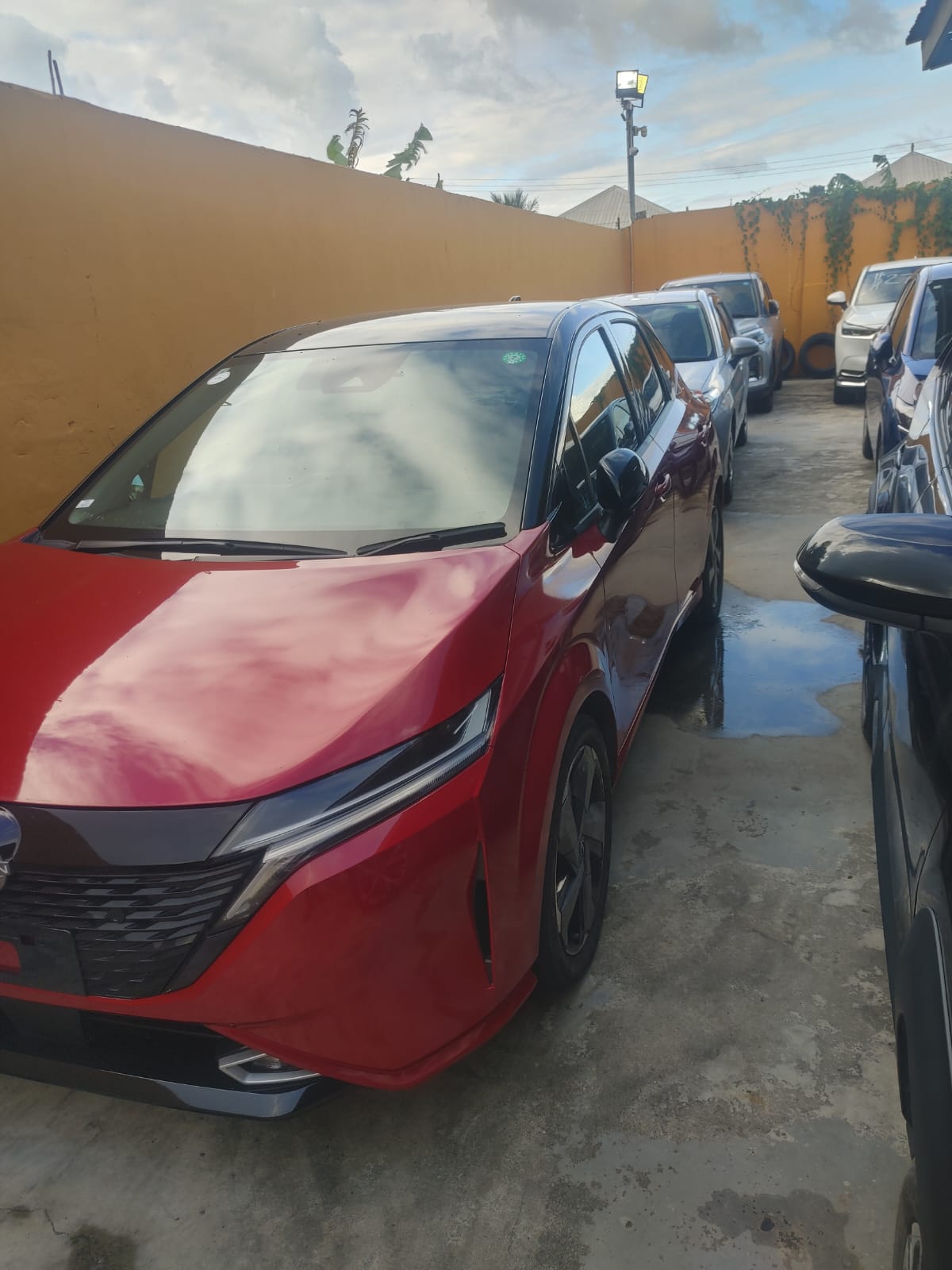 2023 Red Note Aura(reserved)