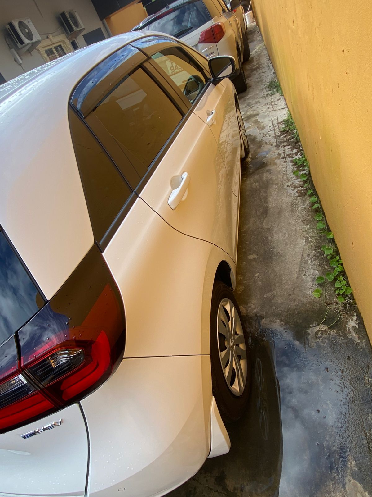 2023 White Honda Fit