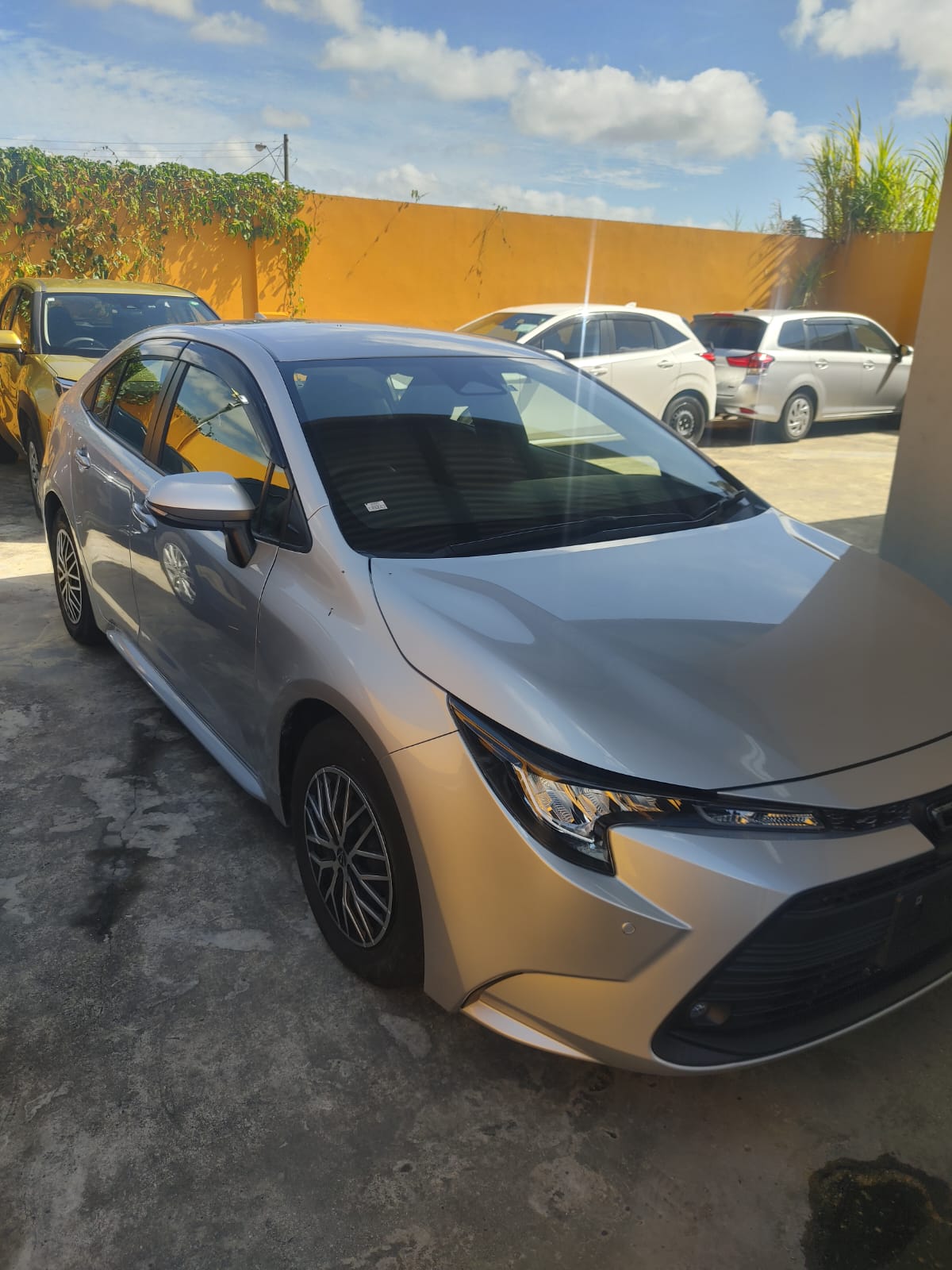 2022 Silver Toyota Corolla Gas