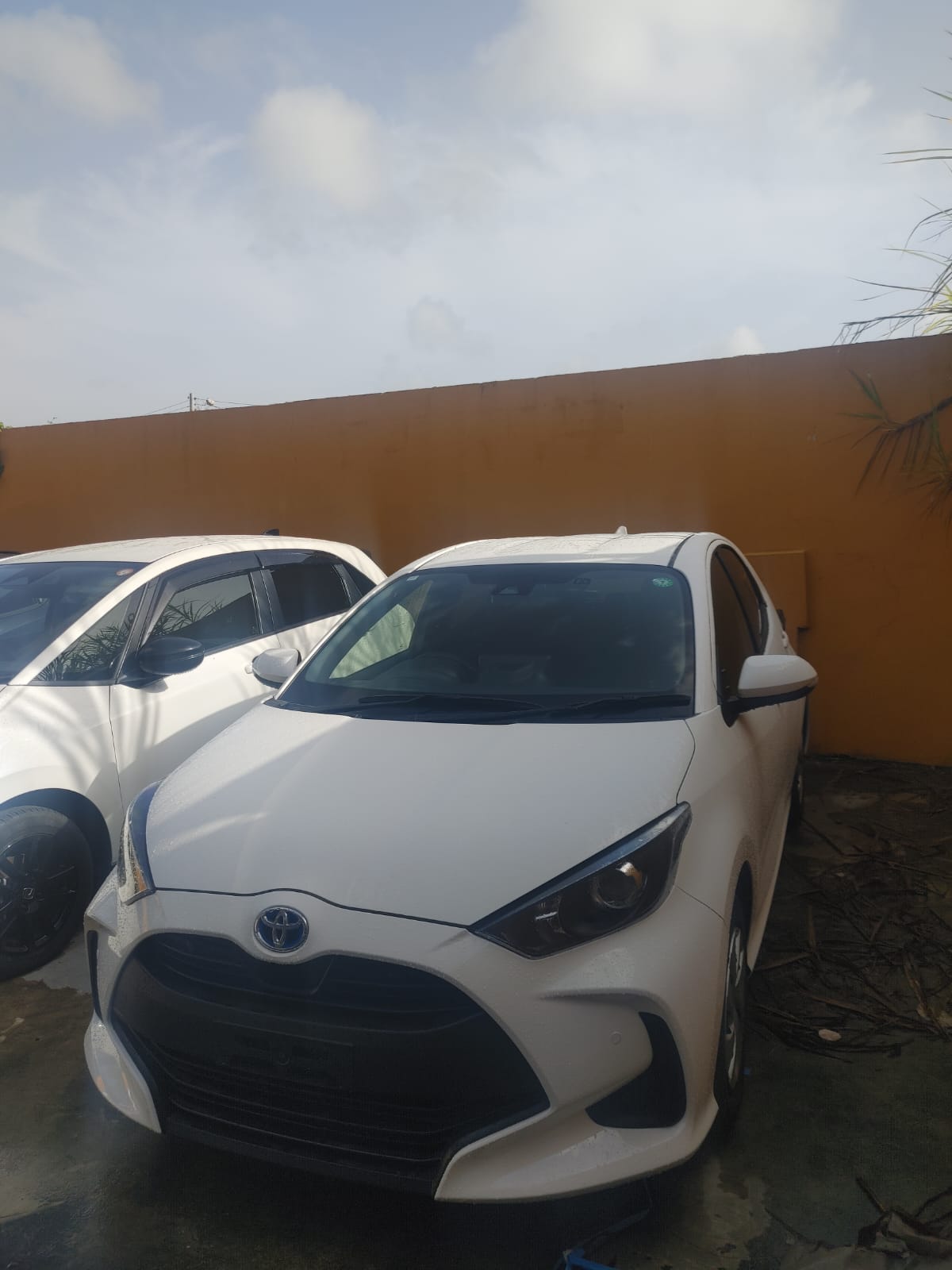 2023 White Yaris Hatchback