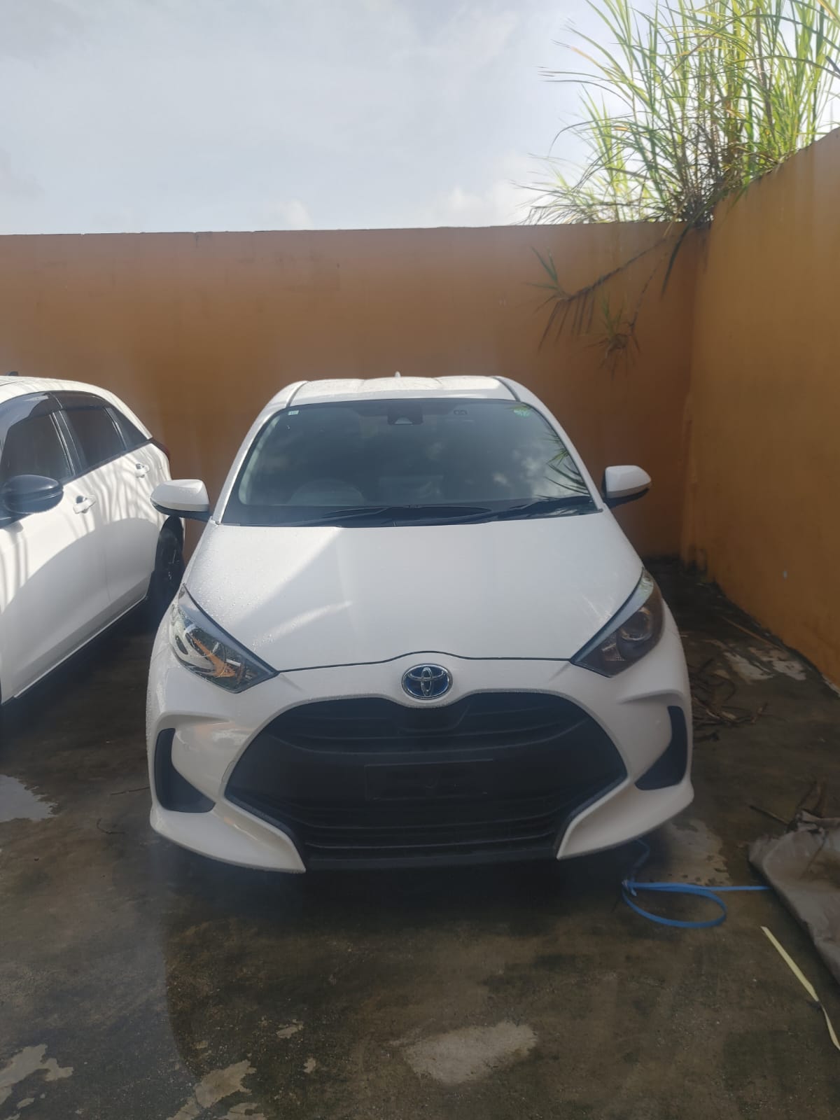 2023 White Yaris Hatchback