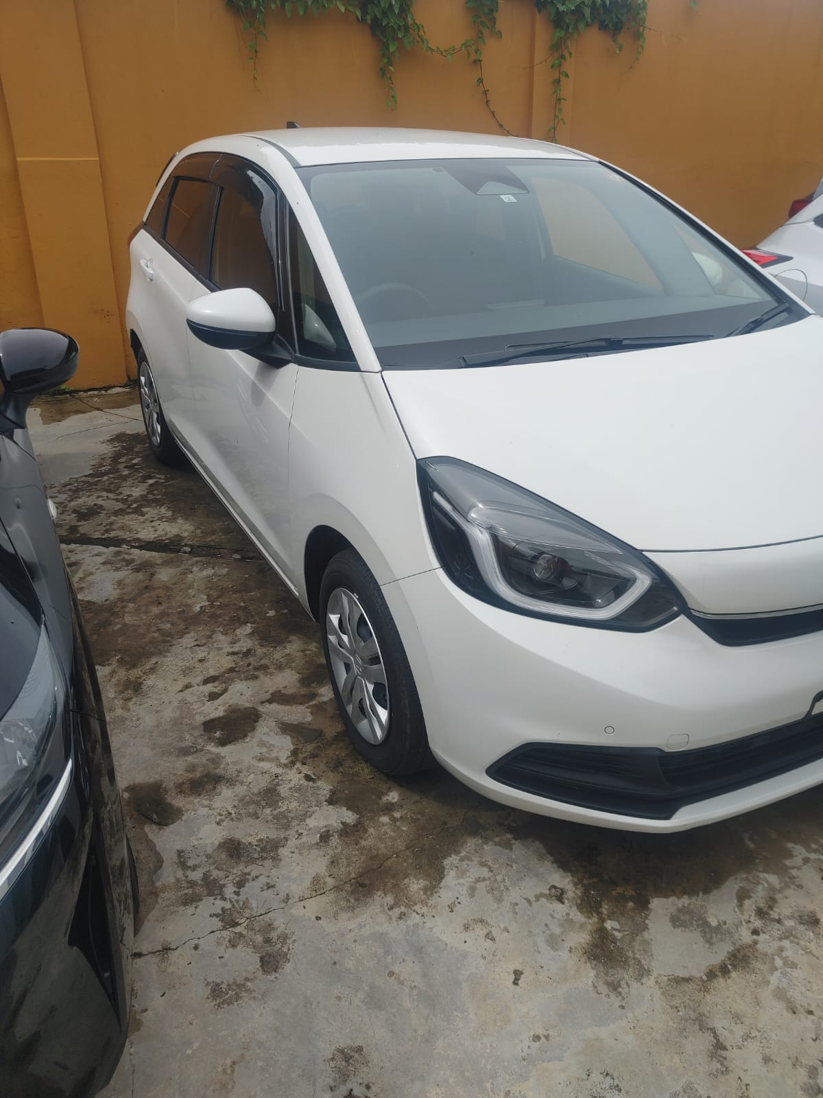 2022 Honda Fit Gasoline