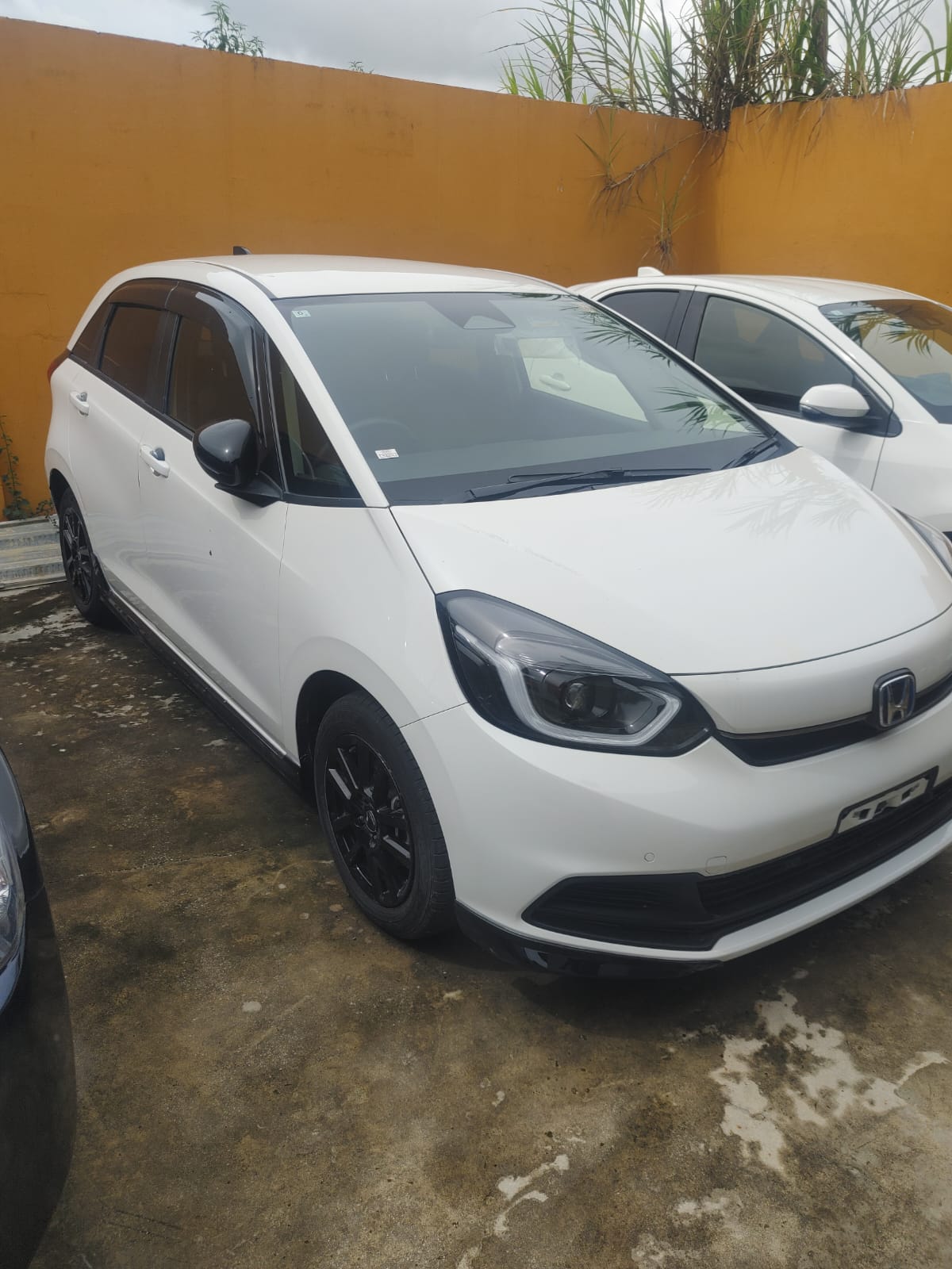 2024 White Honda Fit Deluxe