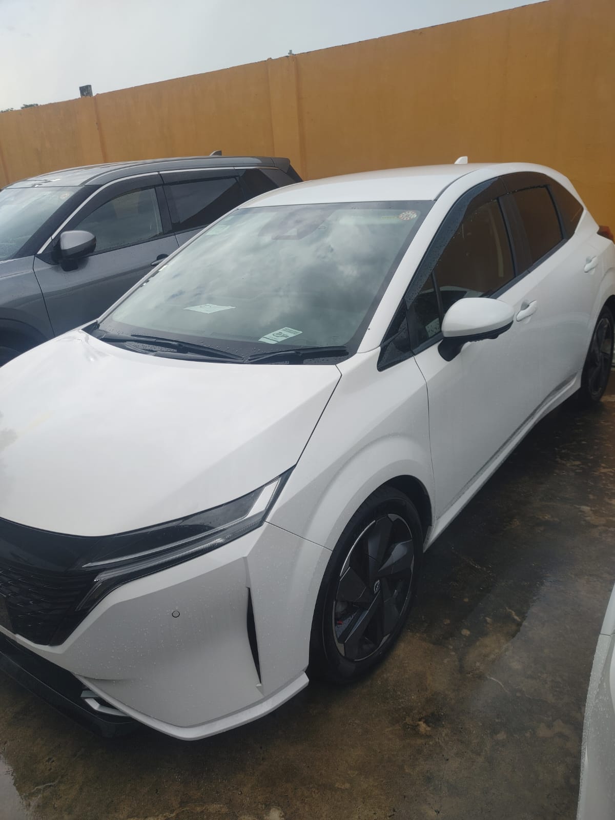 2023 White Note Aura