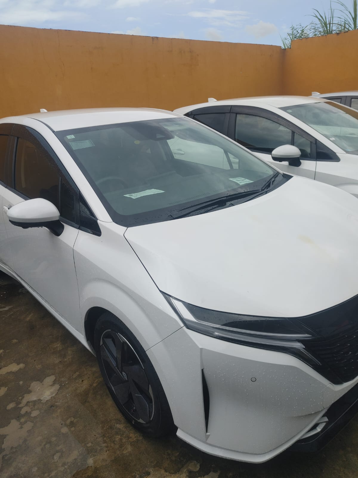 2023 White Note Aura